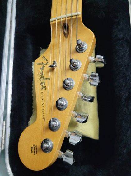 Fender American Std.  (USA.) รูปที่ 7