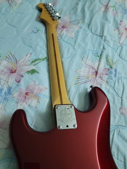 Fender American Std.  (USA.) รูปที่ 11