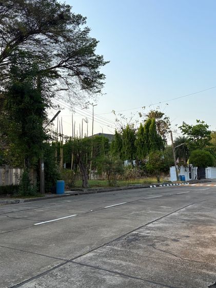 ขายที่ดินเปล่าหมู่บ้านเอกบุรี ติด MRT โรงพยาบาลนพรัตน์ 261 ตารางวา 28.8 ล้านบาท รูปที่ 3
