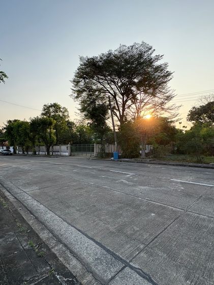 ขายที่ดินเปล่าหมู่บ้านเอกบุรี ติด MRT โรงพยาบาลนพรัตน์ 261 ตารางวา 28.8 ล้านบาท รูปที่ 4