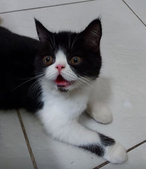 หนุ่มหล่อหาบ้าน รูปที่ 9