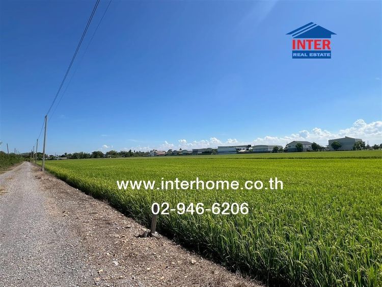 ที่ดินเปล่า 1 ไร่ 127.6 ตร.ว. ที่ดิน ใกล้ตลาดระแหง๑๐๐ปี ถนนบางสะแกใต้ ถนนบางบัวทอง-สุพรรณบุรี (340) ถนนปทุมธานี-บางเลน ลาดหลุมแก้ว ปทุมธานี รูปที่ 2