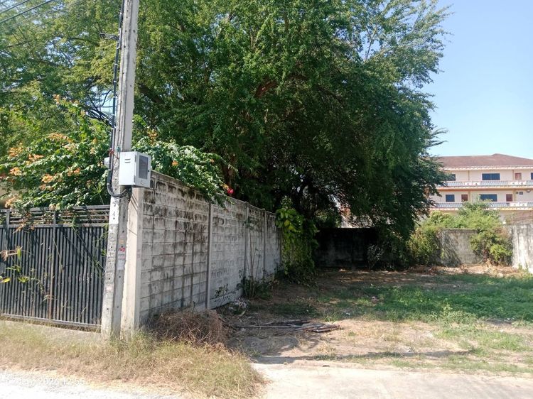 ขายที่ดิน 78 ตารางวา รูปที่ 4