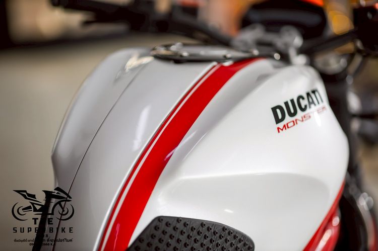 DUCATI M796 2014 รูปที่ 8