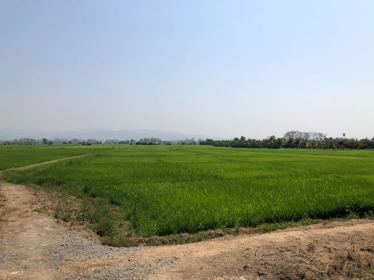 ที่ดิน รูปที่ 4