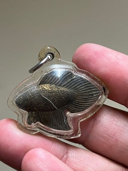 หลวงพ่อน่วมวัดโพธิ์ศรีเจริญ รูปที่ 2