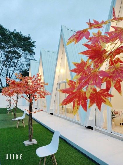 ขาย รีสอร์ท  น้ำหนาว เพชรบูรณ์ รูปที่ 3