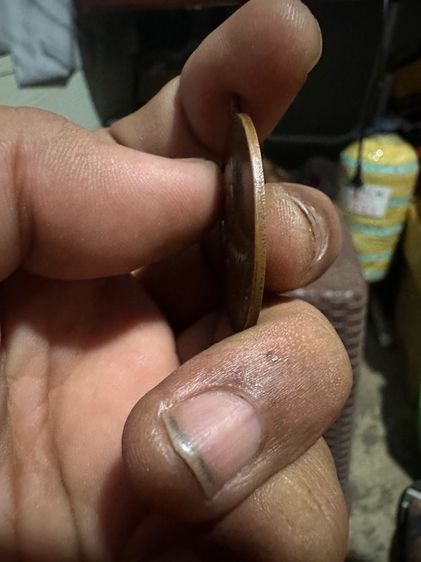 เหรียญนาคคู่หลวงปู่สี รูปที่ 5