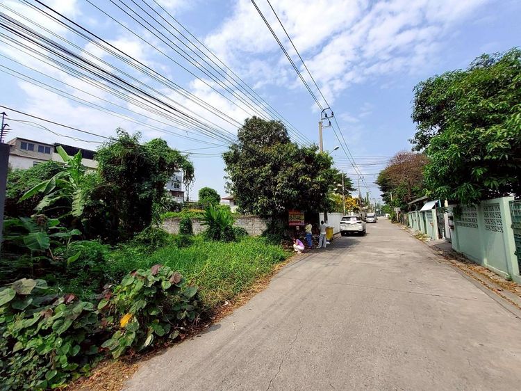 ขายถูกที่ดิน 111 ตรว ติดถนนคอนกรีตสาธารณะ  ถมแล้ว ซ.ติวานนท์-ปากเกร็ด 27 อ.ปากเกร็ด จ.นนทบุรี  รูปที่ 2