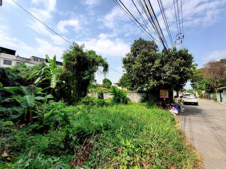 ขายถูกที่ดิน 111 ตรว ติดถนนคอนกรีตสาธารณะ  ถมแล้ว ซ.ติวานนท์-ปากเกร็ด 27 อ.ปากเกร็ด จ.นนทบุรี  รูปที่ 3