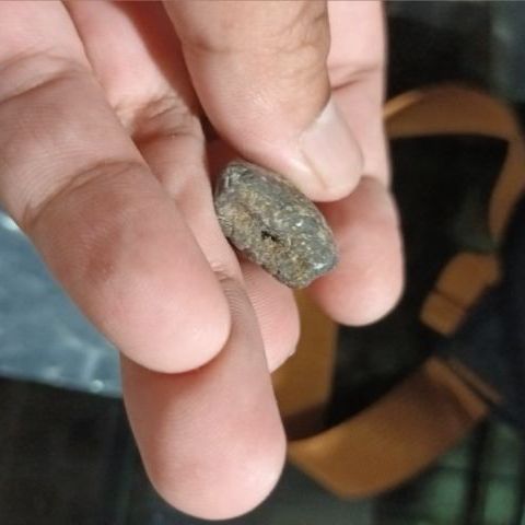 หลวงปู่ทวด รูปที่ 4