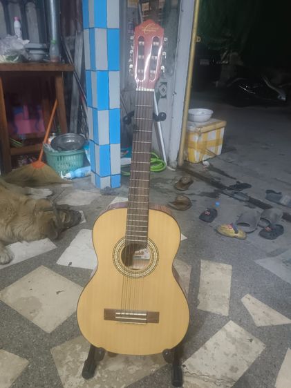 กีต้าร์โปร่ง ocean smith  รูปที่ 2