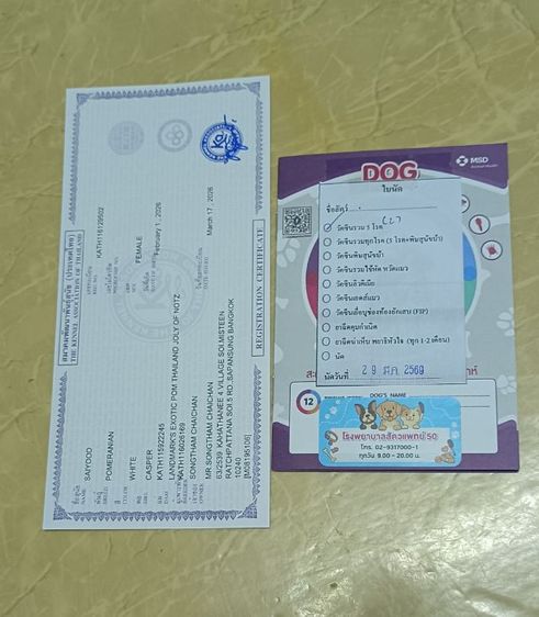 ปอม รูปที่ 7