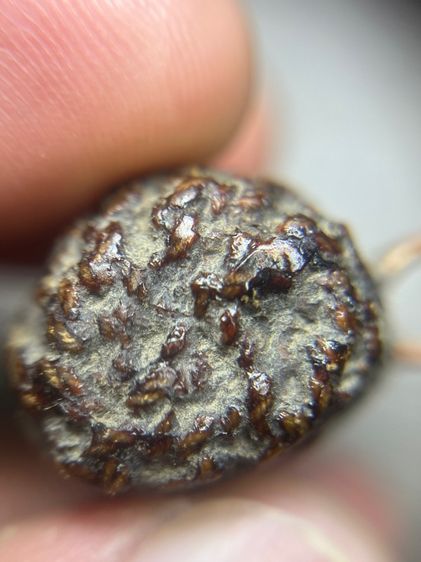 ตะกรุดสองห่วงยาว 2.3 นิ้วไม่ทราบที่(มีสินค้าหลายรายการกดเข้ามาดูในโปรไฟล์ได้เลยครับ) รูปที่ 7