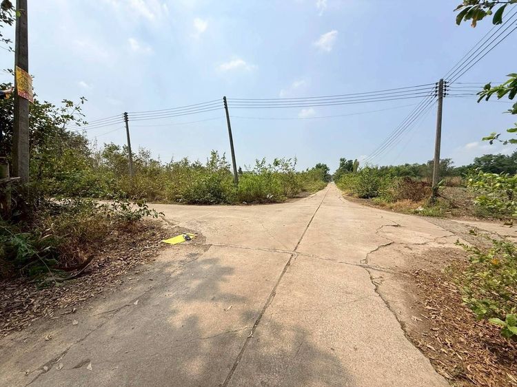 ขายถูกที่ดินคลองสอง 2 ไร่ ติดถนนคอนกรีตสาธารณะ แปลงมุม  ซ.สำนักวิปัสสนาดำรงธรรม คลองหลวง ปทุมธานี  รูปที่ 4