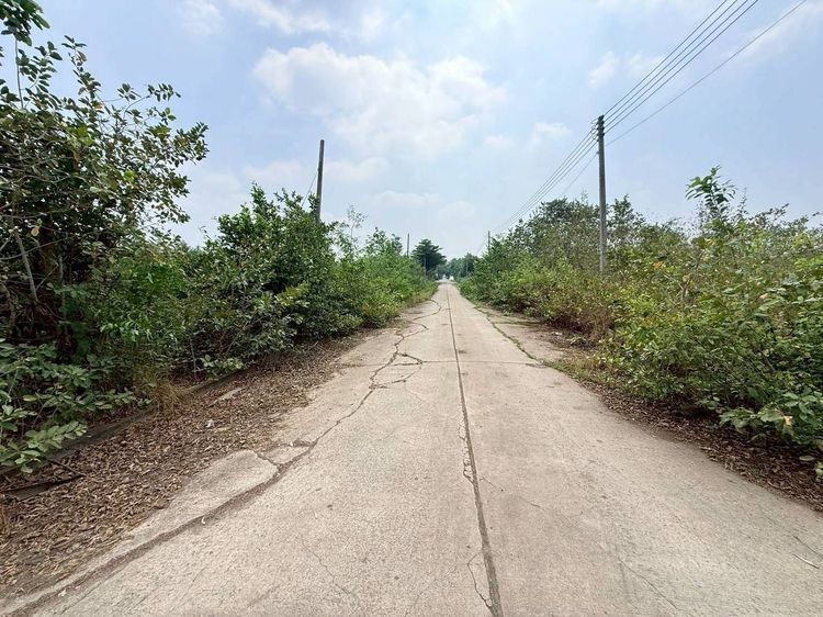 ขายถูกที่ดินคลองสอง 2 ไร่ ติดถนนคอนกรีตสาธารณะ แปลงมุม ซ.สำนักวิปัสสนาดำรงธรรม คลองหลวง ปทุมธานี รูปที่ 3