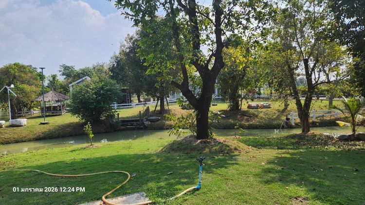 ปล่อยเช่าที่ดินสวย รูปที่ 3