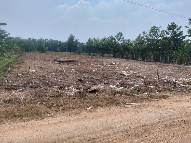 ที่ดินถมแล้ว1ไร่ใกล้ทางด่วน3.99ล้าน รูปที่ 2