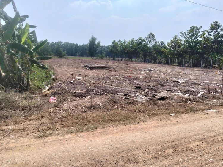 ที่ดินถมแล้ว1ไร่ใกล้ทางด่วน3.99ล้าน รูปที่ 3