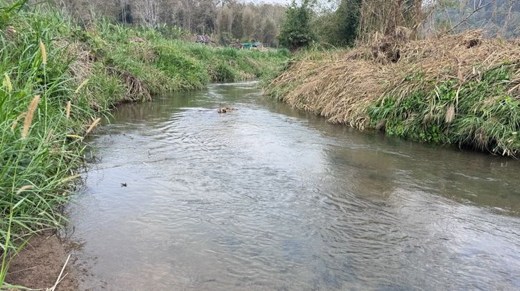 ใช่ ที่ดินติดลำธาร วิวสวยบรรยากาศดี โฉนดครุฑแดง อ.สะเมิง จ.เชียงใหม่ รูปที่ 2