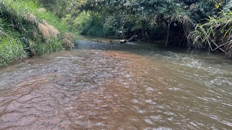 ใช่ ที่ดินติดลำธาร วิวสวยบรรยากาศดี โฉนดครุฑแดง อ.สะเมิง จ.เชียงใหม่ รูปที่ 3