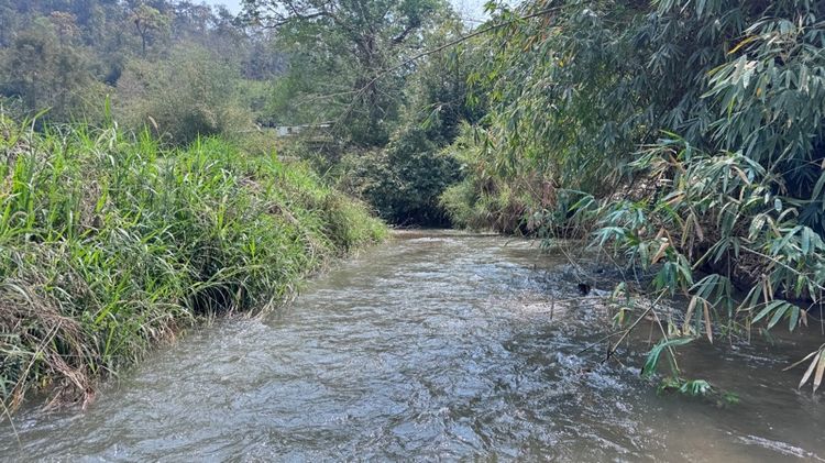 ใช่ ที่ดินติดลำธาร วิวสวยบรรยากาศดี โฉนดครุฑแดง อ.สะเมิง จ.เชียงใหม่ รูปที่ 4