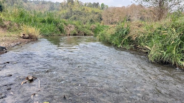 ที่ดินติดลำธาร วิวสวยบรรยากาศดี โฉนดครุฑแดง อ.สะเมิง จ.เชียงใหม่