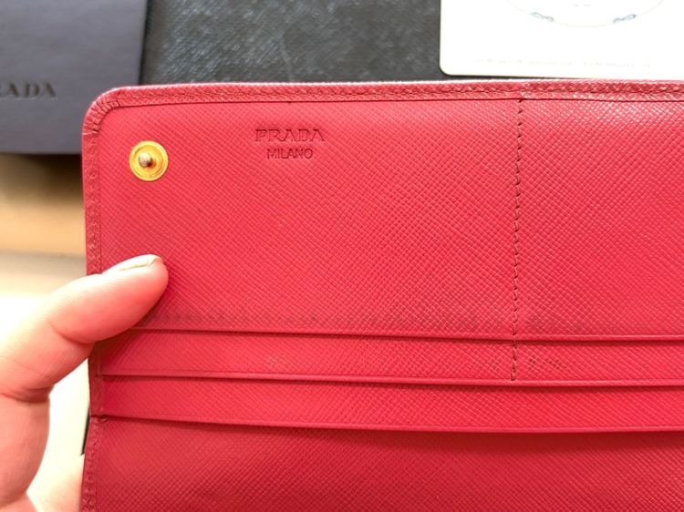 กระเป รูปที่ 9