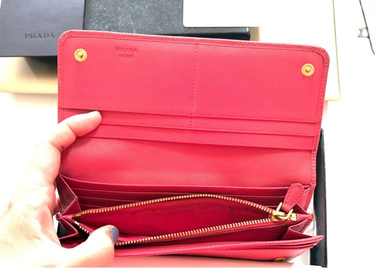 กระเป รูปที่ 10