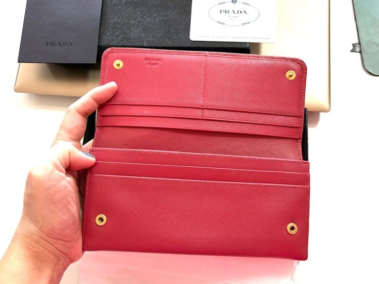 กระเป รูปที่ 8