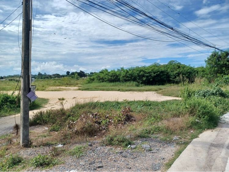 ใช่ ที่ดิน รูปที่ 3