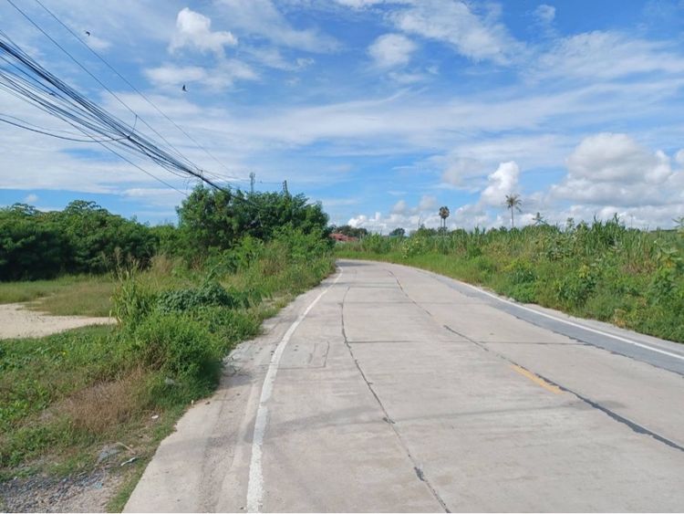 ใช่ ที่ดิน รูปที่ 2