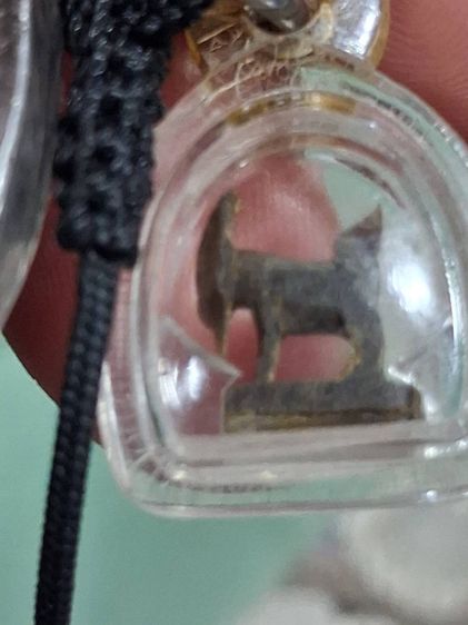 แพะจิ๋วหลวงพ่ออ่ำ