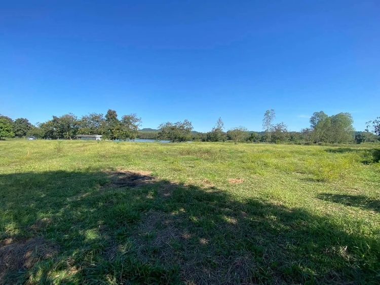 ขายที่เนิน​ วิวทะเลสาบ​ นํ้าไม่ท่วม​ อากาศดีตลอดทั้งปี รูปที่ 3