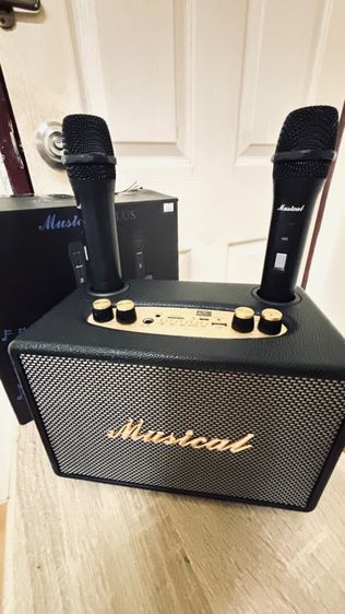 อื่นๆ ลำโพงบลูทูธคาราโอเกะพร้อมไมค์