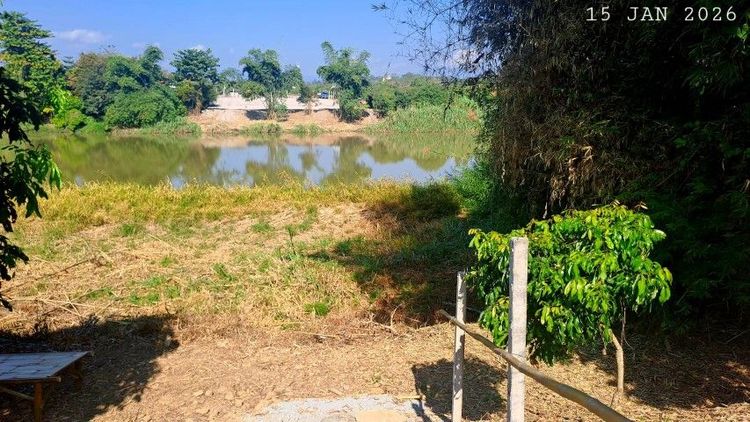 ไม่ใช่ ติดแม่น้ำปิงติดถนนสองด้าน เจ้าของขายเองสวนลำไยวิวสวยเหมาะทำบ้านพักตากอากาศ รูปที่ 2