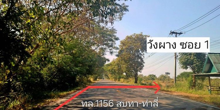 ไม่ใช่ ติดแม่น้ำปิงติดถนนสองด้าน เจ้าของขายเองสวนลำไยวิวสวยเหมาะทำบ้านพักตากอากาศ รูปที่ 3