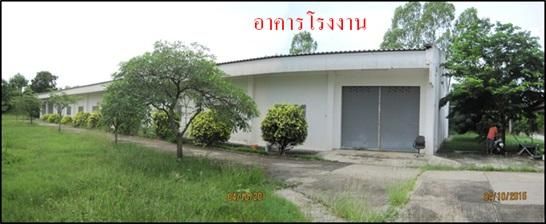 💟 โรงงาน โคกตูม ลพบุรี 💟 รูปที่ 2