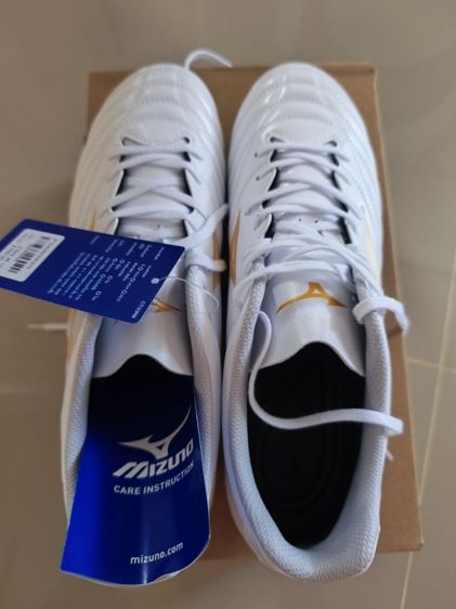 mizuno  รูปที่ 5