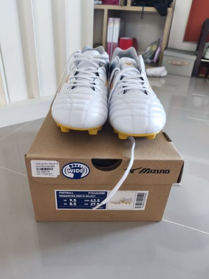 mizuno  รูปที่ 4