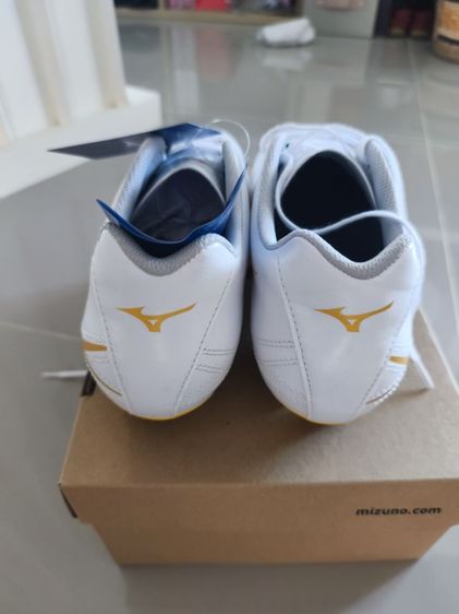 mizuno  รูปที่ 2