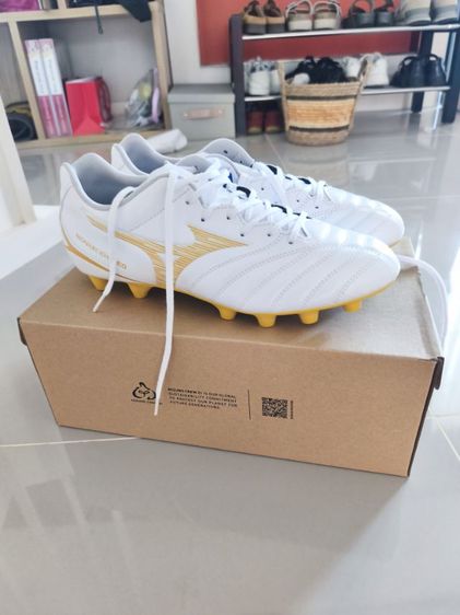 mizuno  รูปที่ 3