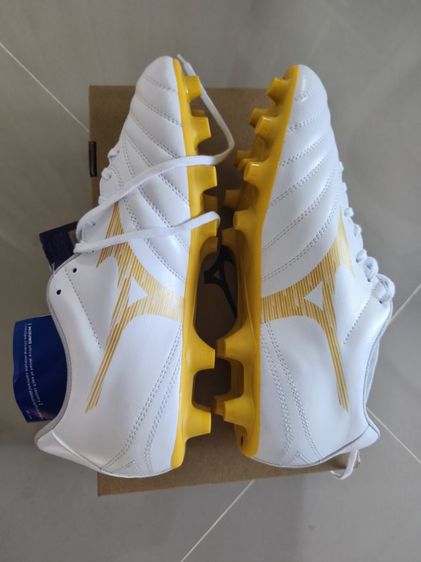 mizuno  รูปที่ 6