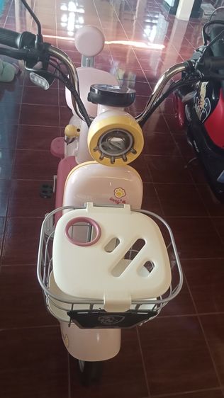 จักรยานไฟ รูปที่ 4