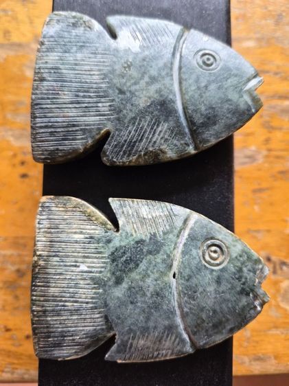 ปลาหยก รูปที่ 4