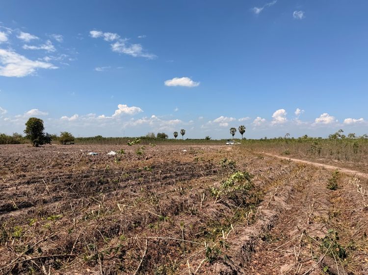 ที่ดินชัยนาท ติดถนนแยกหางน้ำสาคร รูปที่ 2