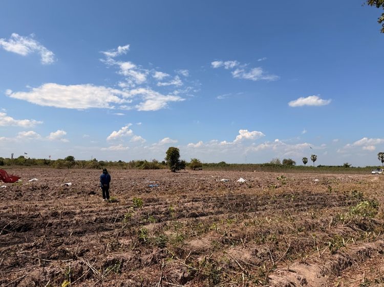 ที่ดินชัยนาท ติดถนนแยกหางน้ำสาคร รูปที่ 3