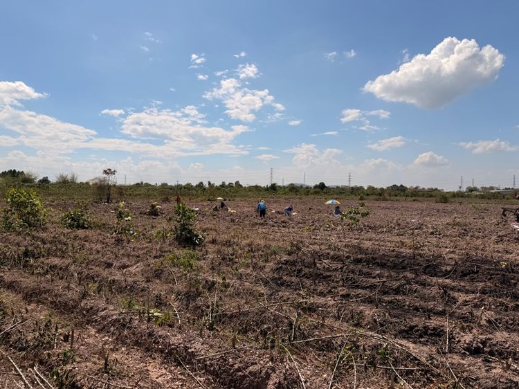 ที่ดินชัยนาท ติดถนนแยกหางน้ำสาคร รูปที่ 4