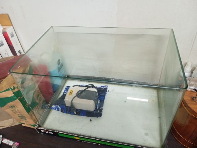 ตู้เลี้ยงปลา รูปที่ 4
