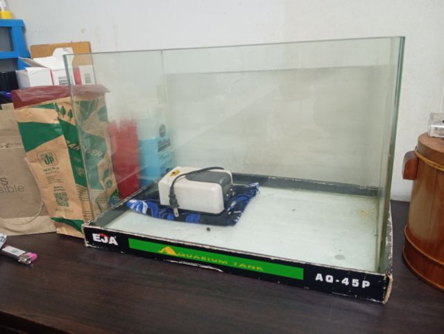 ตู้เลี้ยงปลา รูปที่ 2